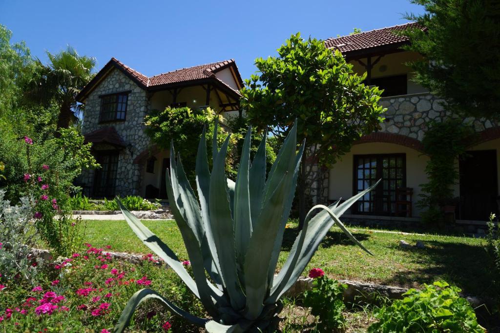 Mountain Lodge Hotel Doger Koyu 외부 사진