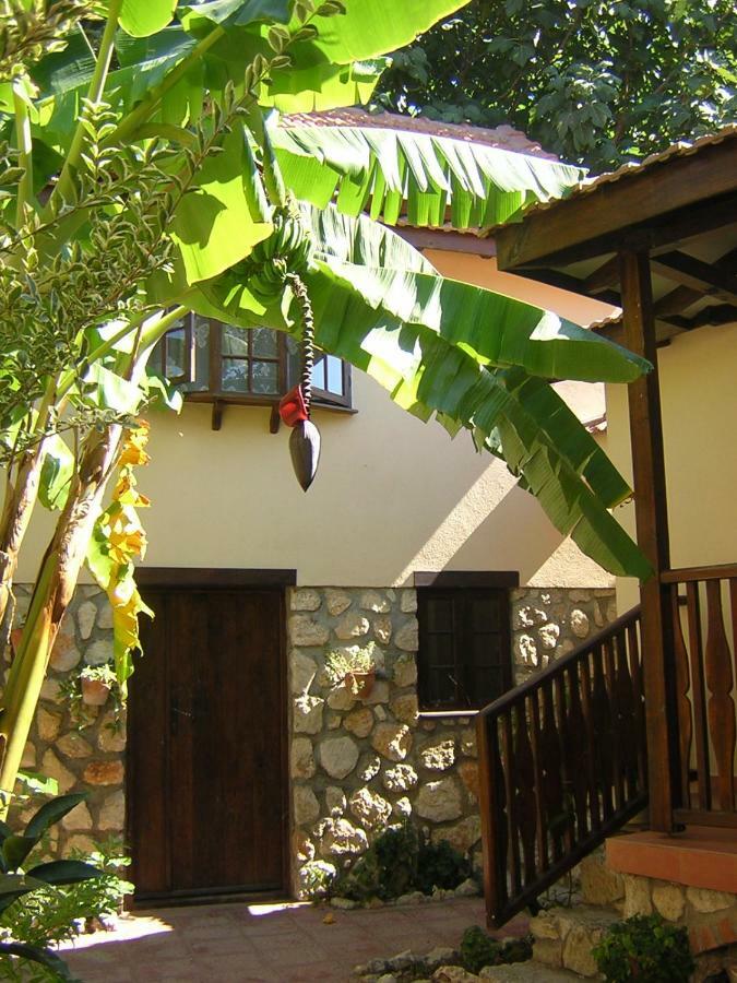 Mountain Lodge Hotel Doger Koyu 외부 사진